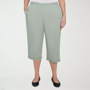 Alfred Dunner Santa Fe Women’s Stretch Fabric Straight Fit Iris Size 12 New